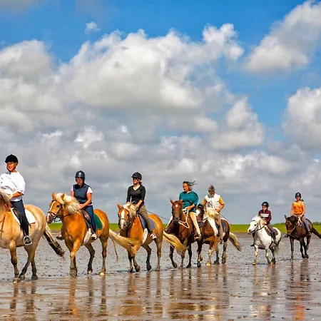 Gud Jard Nr 23 - Design-ferienhaus Mit Exklusiver Ausstattung *