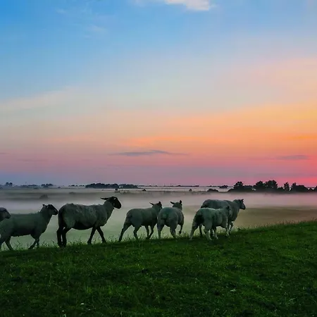 Gud Jard Nr 23 - Design-ferienhaus Mit Exklusiver Ausstattung بيت للعطل